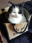 Cats are Great Bag
