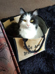 Cats are Great Bag
