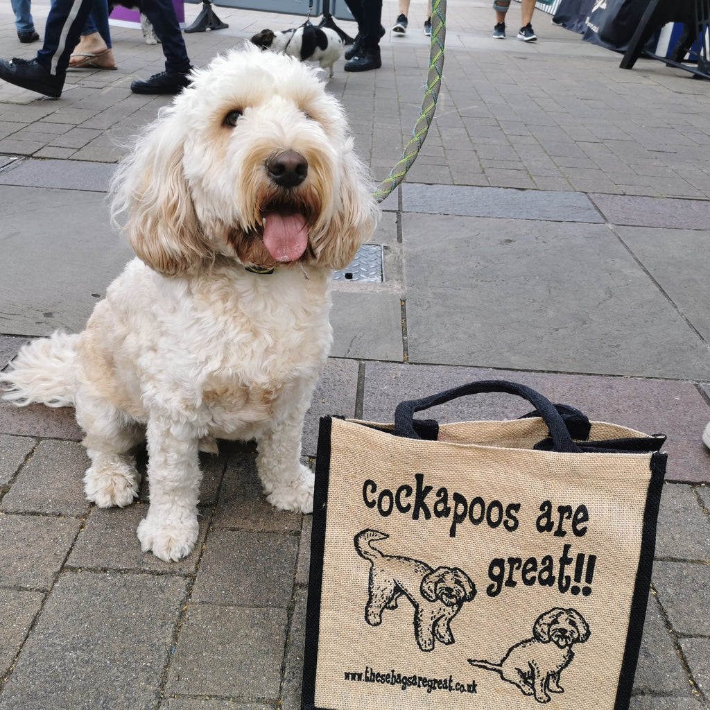 Cockapoo Backpacks Cockapoos are Great Bag – These Bags Are Great
